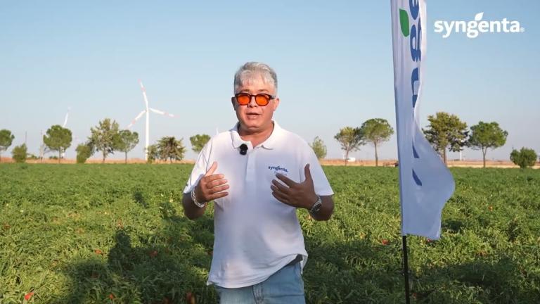 Gaetano Bentivenga presenta soluzioni nutrizionali e i biostimolanti di Syngenta