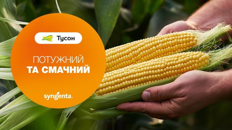 Цукрова кукурудза 🌽Тусон (Tyson)