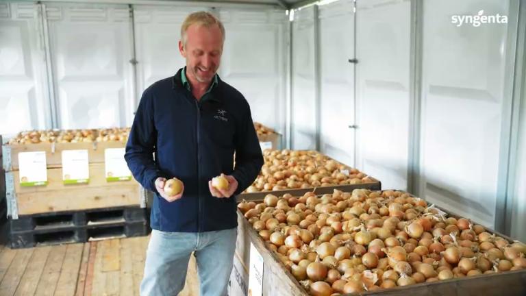 Downy Mildew Solutions for Onion