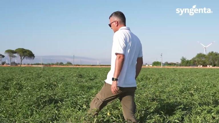 Syngenta e l'offerta genetica per le orticole