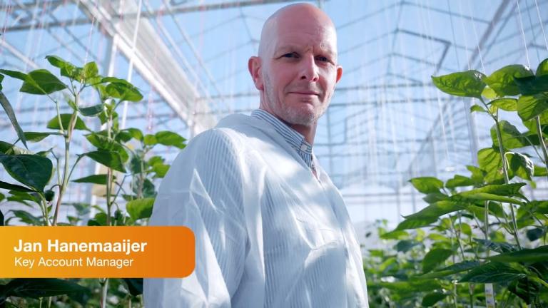 Het tomaten- en paprikateam is veranderd en uitgebreid