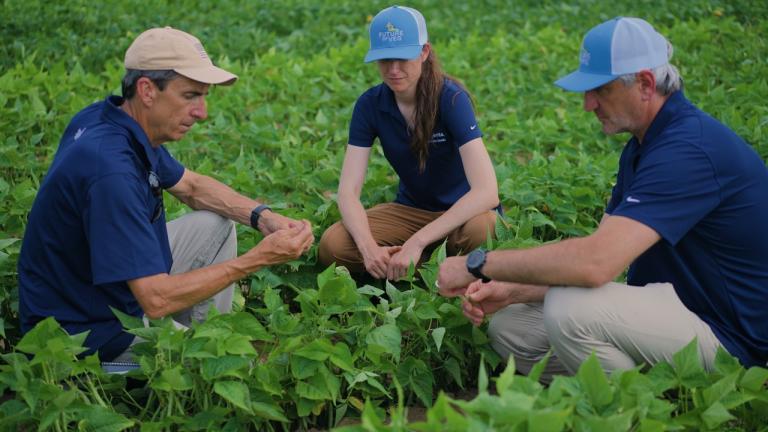 Processor Garden Bean | Featured at Future of Veg 2025