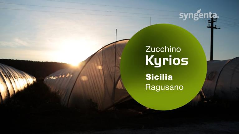 Kyrios Ragusa - Sanità e precocità produttiva in autunno