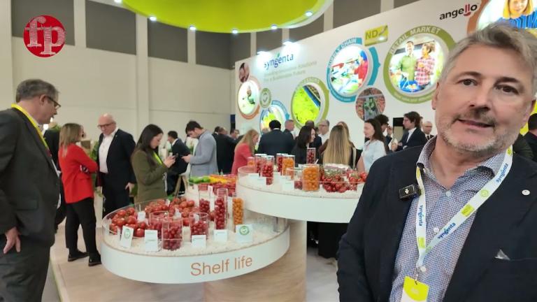 L'offerta Baby Plums resistenti al ToBRFV di Syngenta Vegetable Seeds