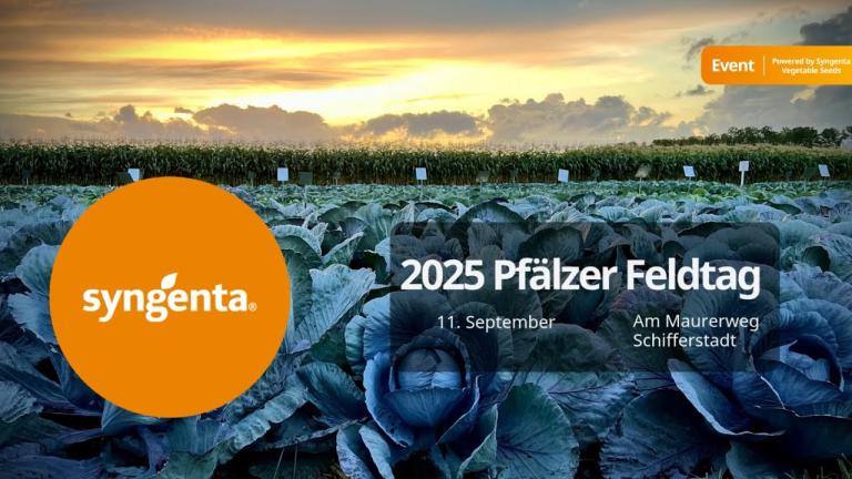 Syngenta Gemüsesaatgut | Einladung zum Pfälzer Feldtag 2025