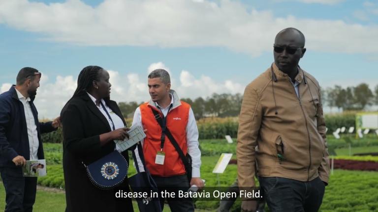 The Fight Against Fusarium