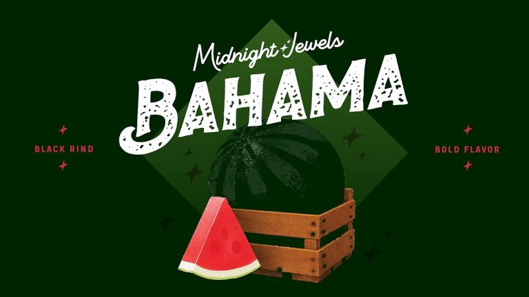 Bahama: Premium Sugar Baby Watermelon | High Yield Potential, Early Harvest, Superior Quality