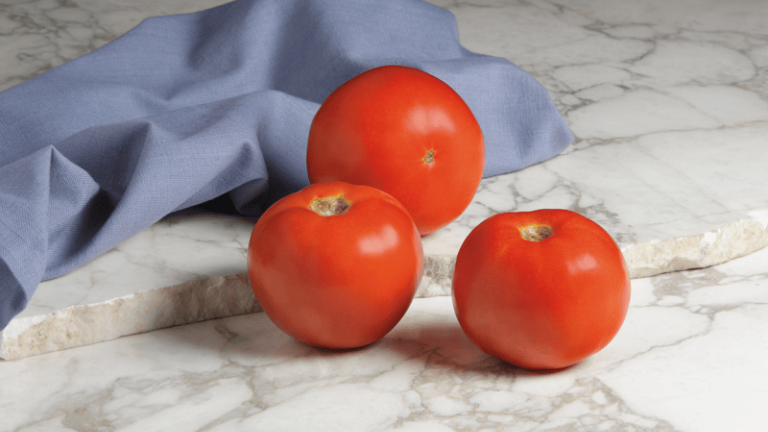 Tomato Portfolio | Syngenta Vegetable Seeds US