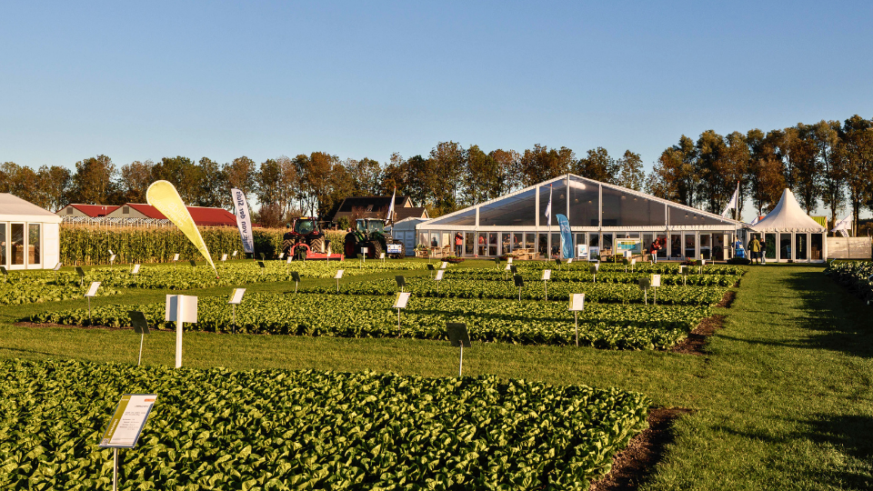 Syngenta Fields Of Innovations 2026