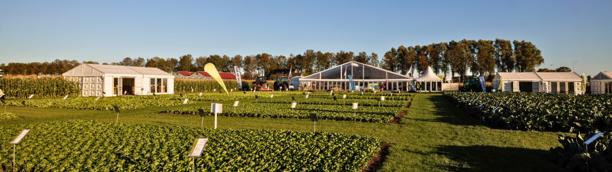 Syngenta Fields Of Innovations 2026