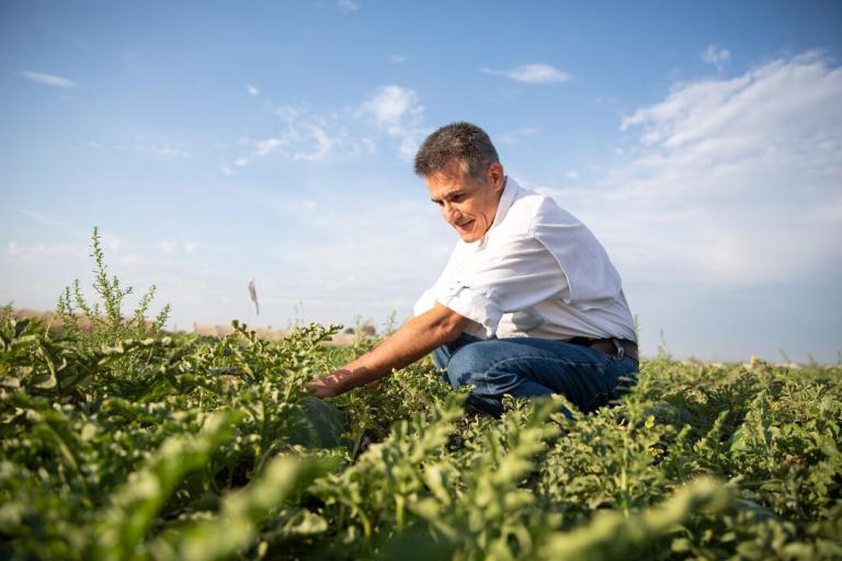 Alecio Schiavon with Syngenta Manchester Watermelon