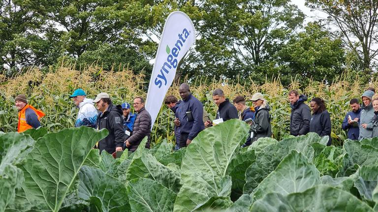 syngenta_fields_of_innovation_2