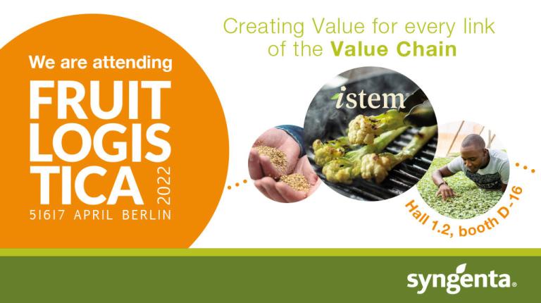 Kalafior Istem firmy Syngenta nominowany do nagrody Innovation Award - zaproszenie