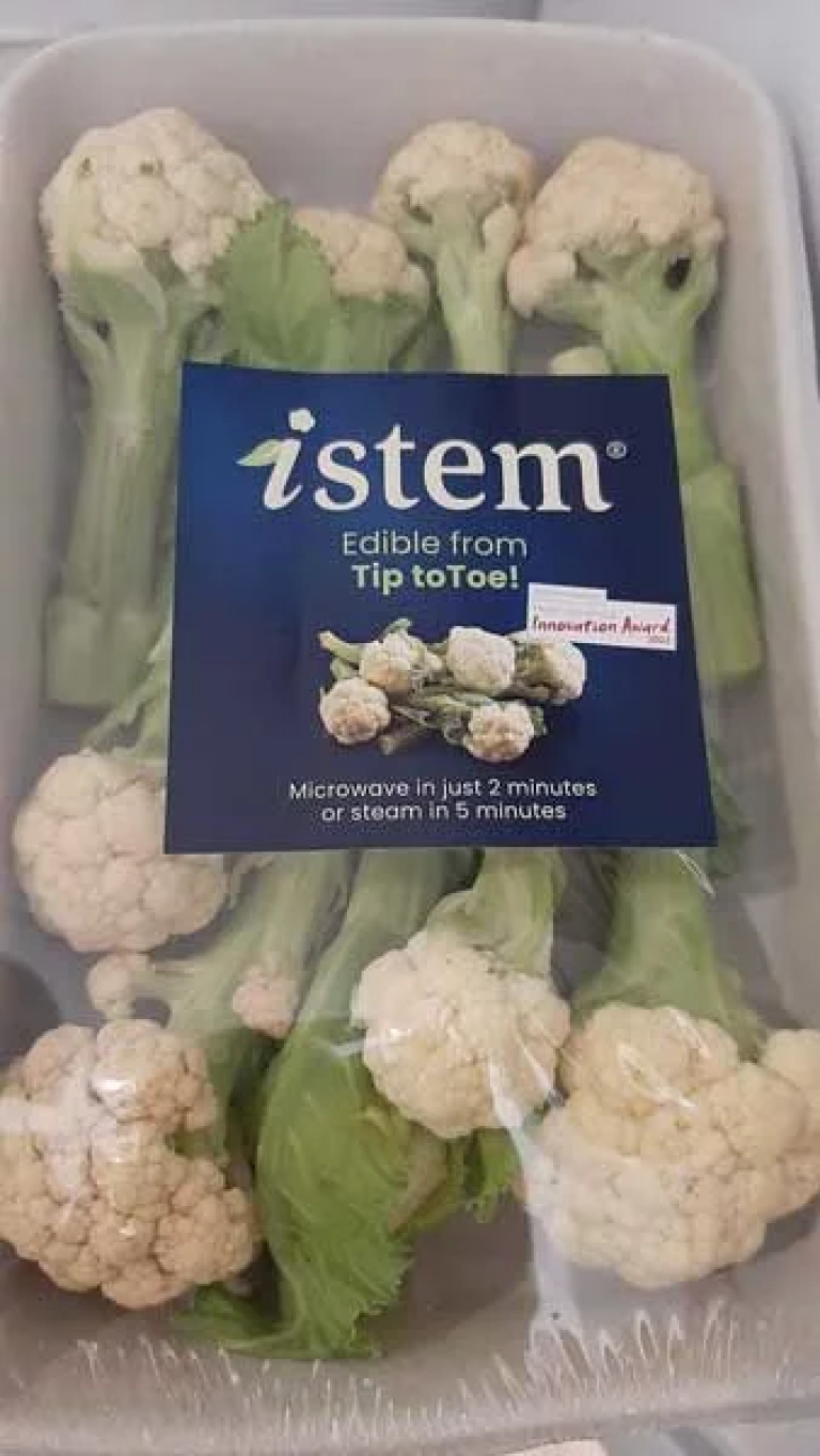 Istem