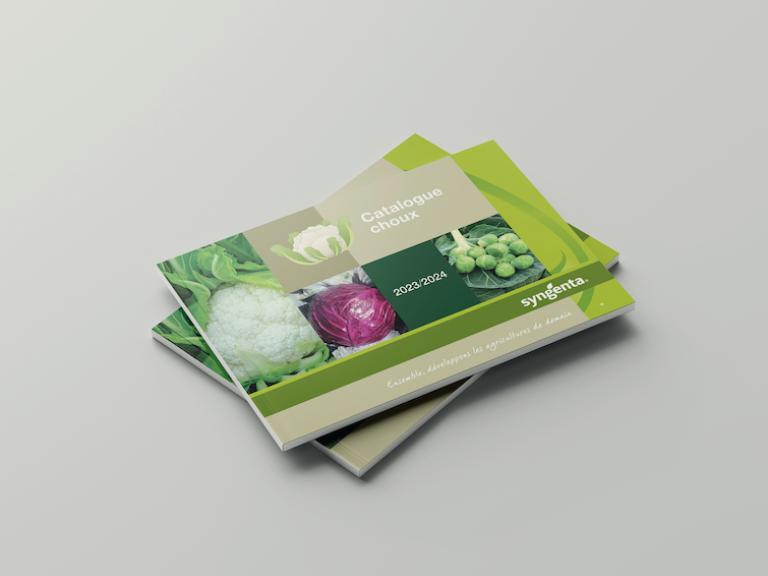 Mockups choux
