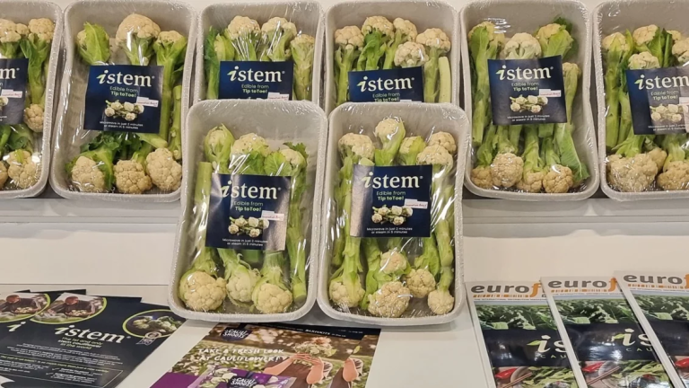 Капуста Istem