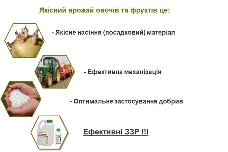 Якісний врожай фруктів та овочів