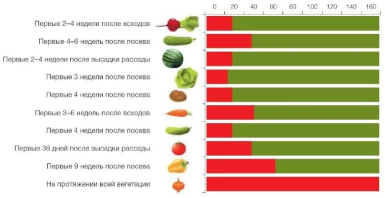 Сорняки на арбузах