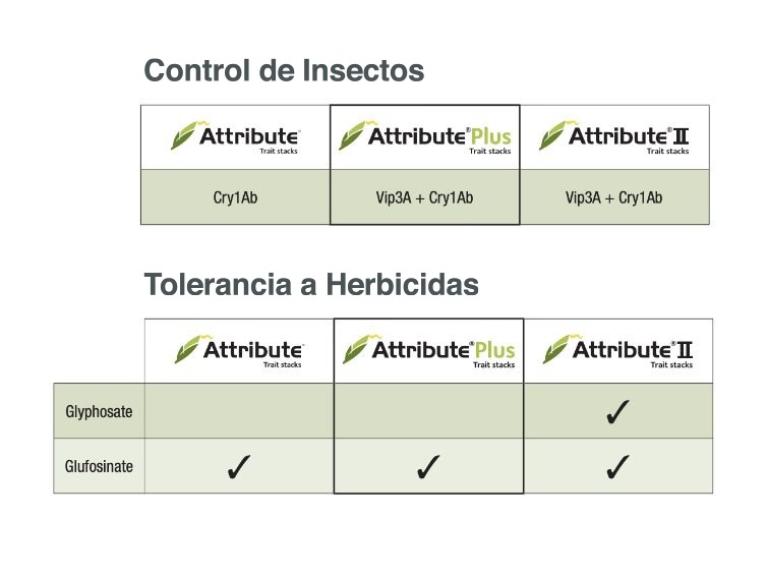 Attribute image