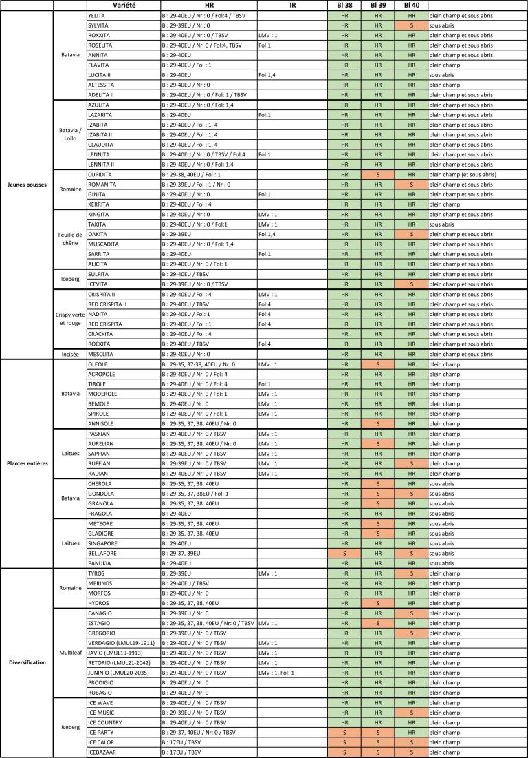 tableau-synthese-resistances-bremia-lactucae