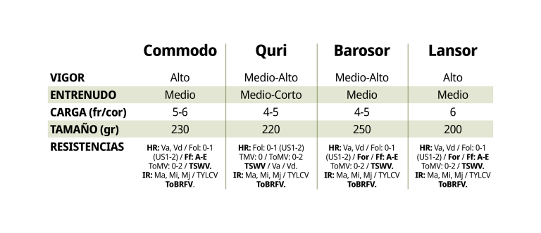 PRODUCTOS