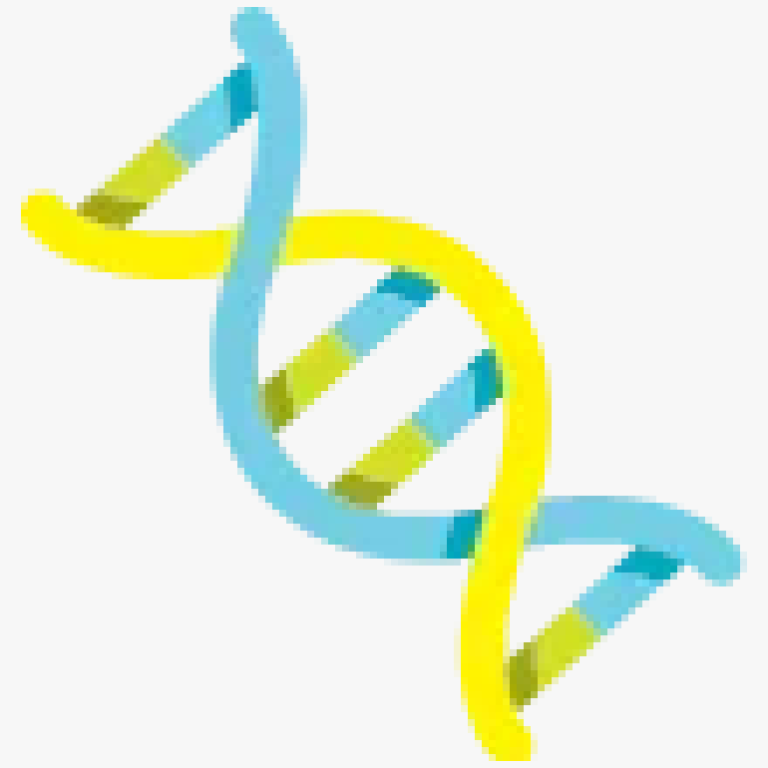 Oltre 800 varieta