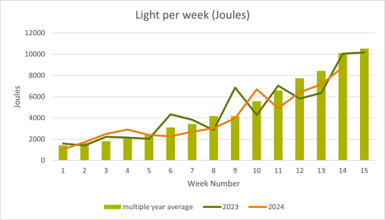 Light per week