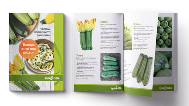 squash brochure preview