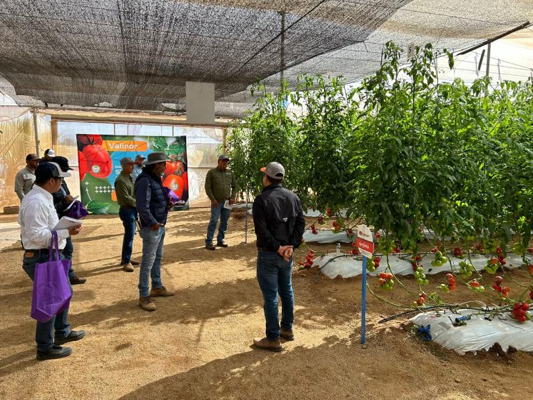 CBTA SAN QUINTIN