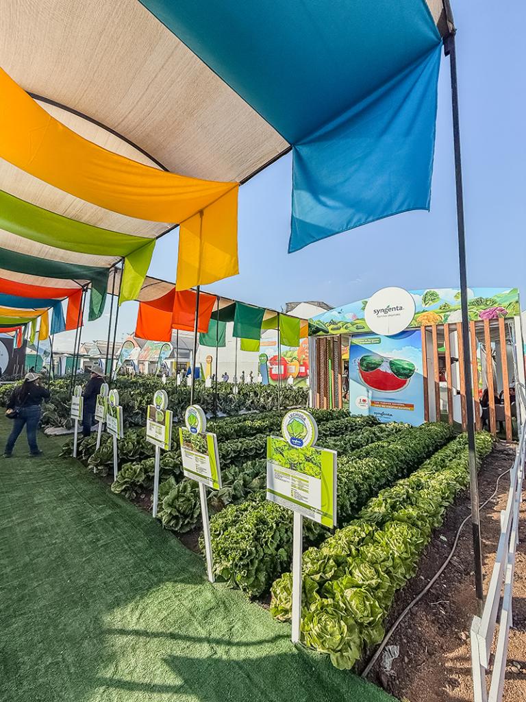 galleryagroalimentaria02.jpg