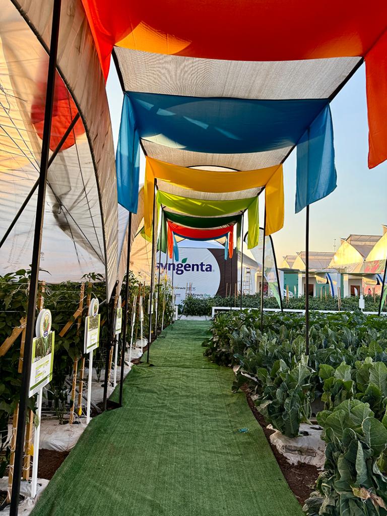 galleryagroalimentaria09.jpg