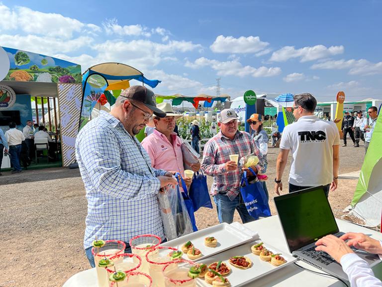 galleryagroalimentaria15.jpg