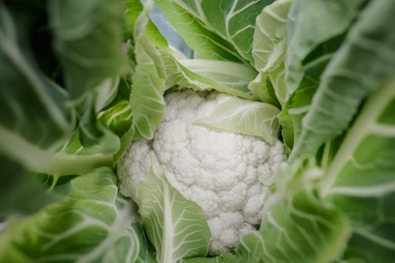 cauliflowers