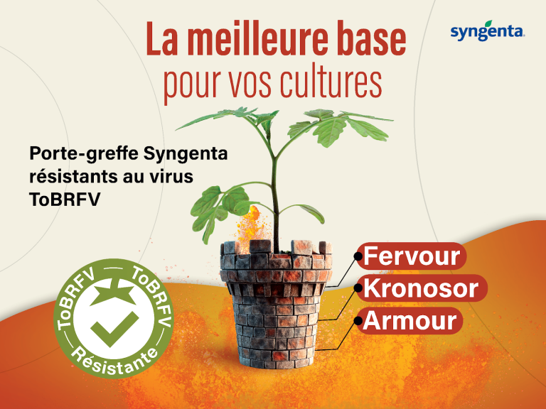 syngenta