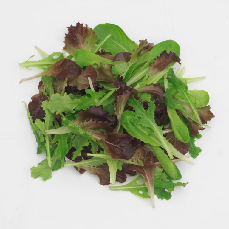 Πλήρη γκάμα babyleaves από τη Syngenta