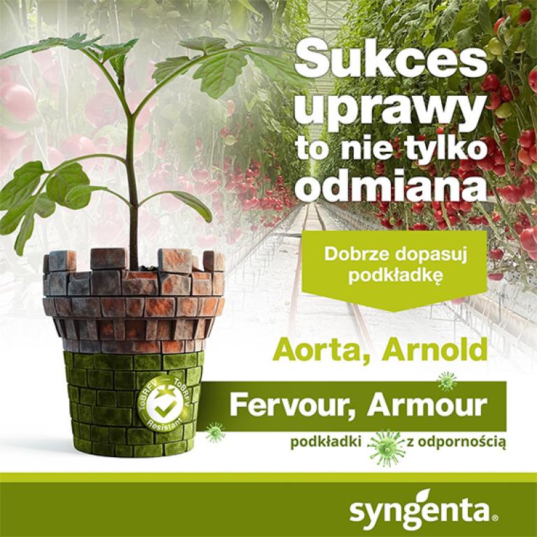 Sukces uprawy to nie tylko odmiana - dobrze dostosuj podkładkę