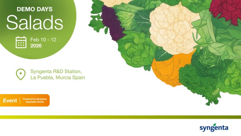 Demo Days Salads 2026