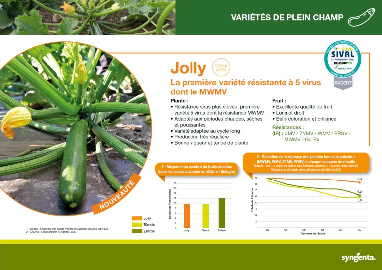 Jolly