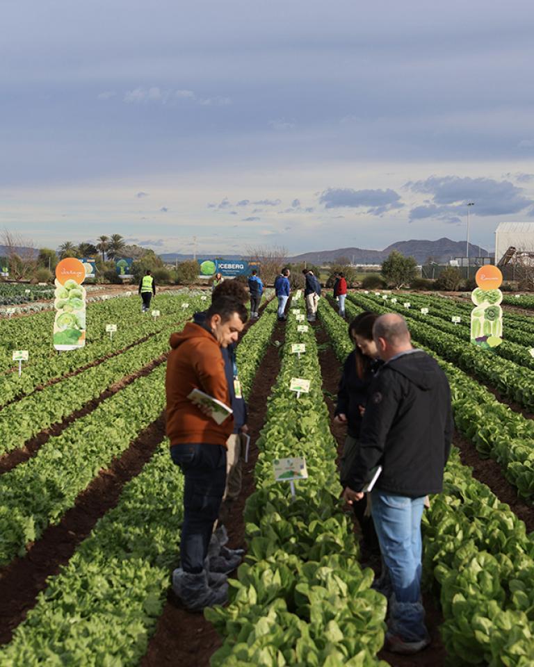 Salads Demo Days 2026