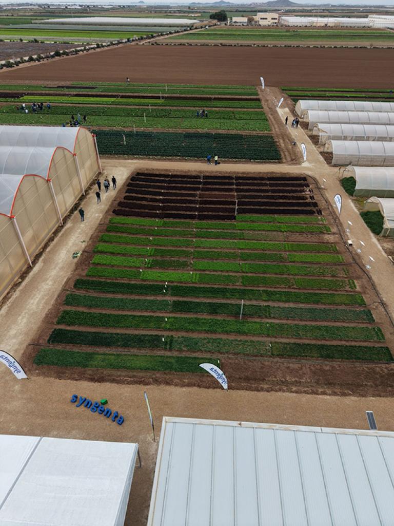 Salads Demo Days 2026