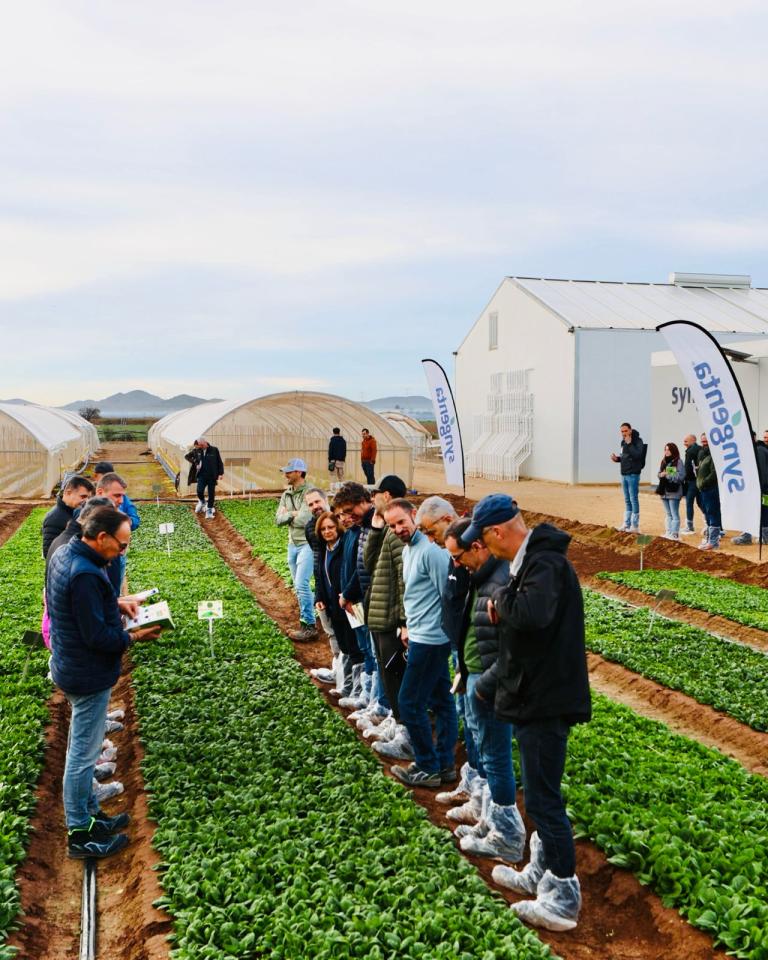 Στιγμιότυπο από τις Syngenta Salads Days στη Murcia
