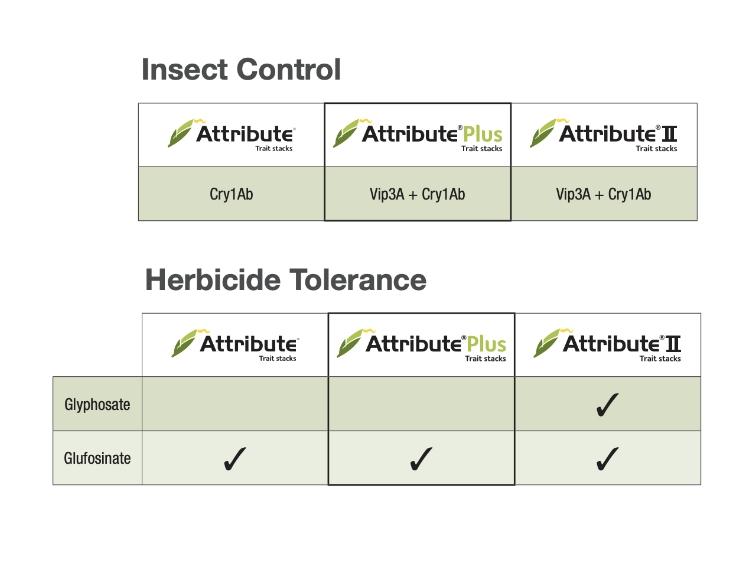 attribute