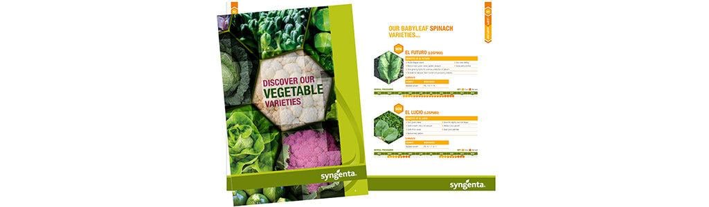 veg_seeds_brochure
