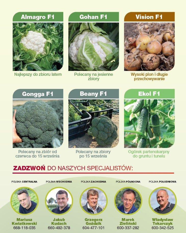 Uprawa warzyw – odmiany warte uwagi! - tabela 2