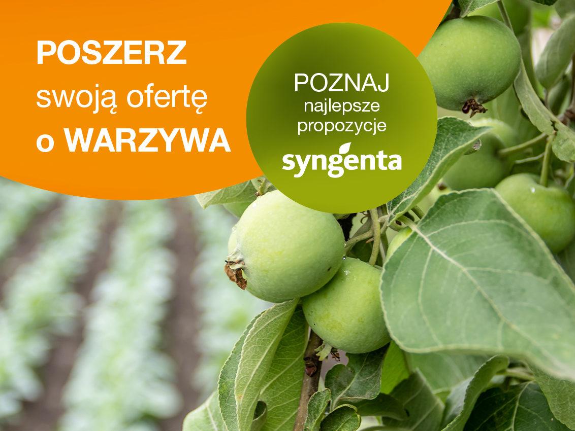 Uprawa warzyw – odmiany warte uwagi!
