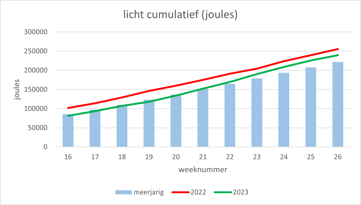 Lichtopbrengst teeltinfo #4