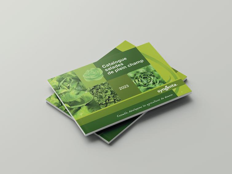 Mockup salades