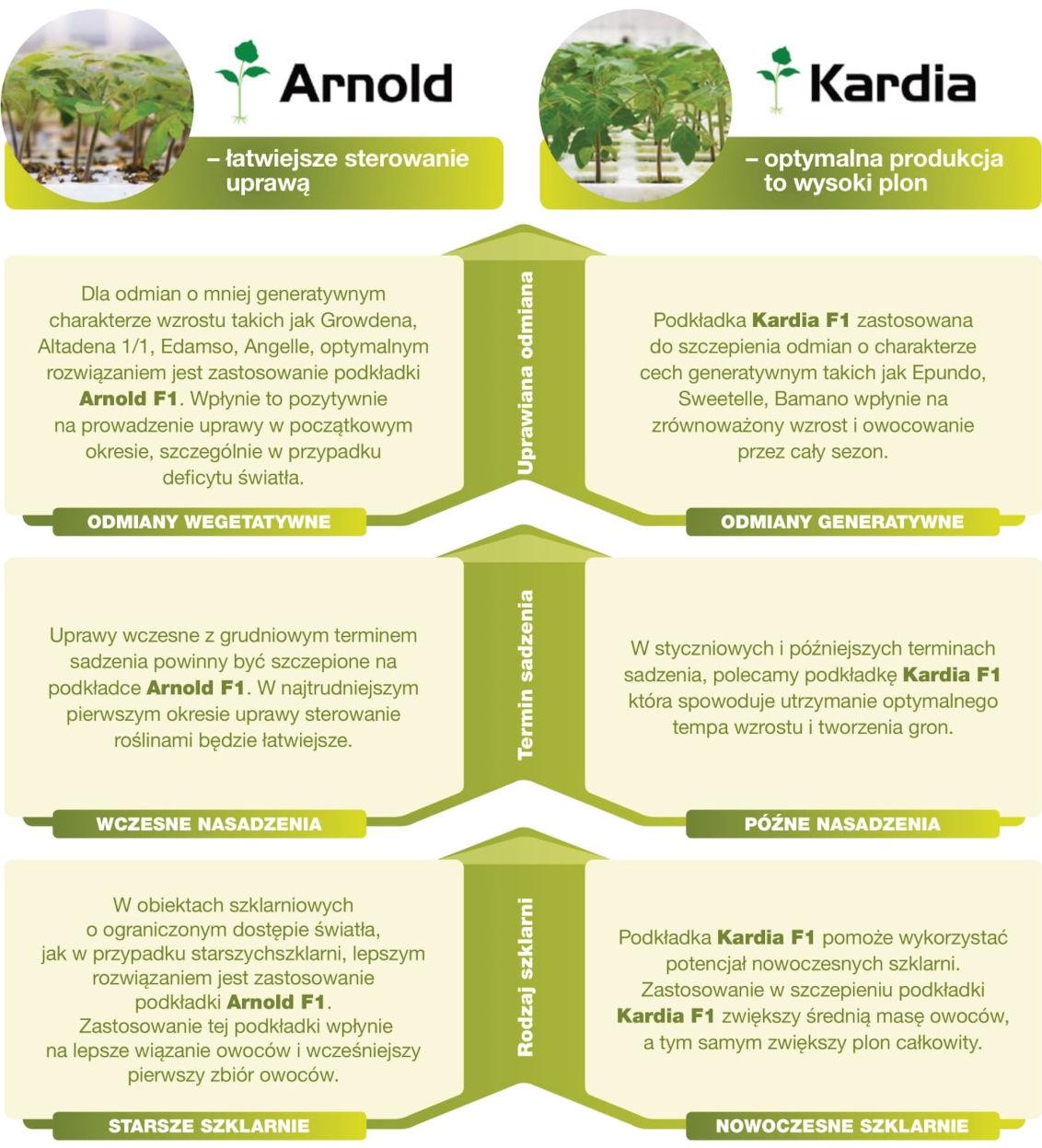 Podkładka - dlaczego moja decyzja ma znaczenie - Arnold i Kardia