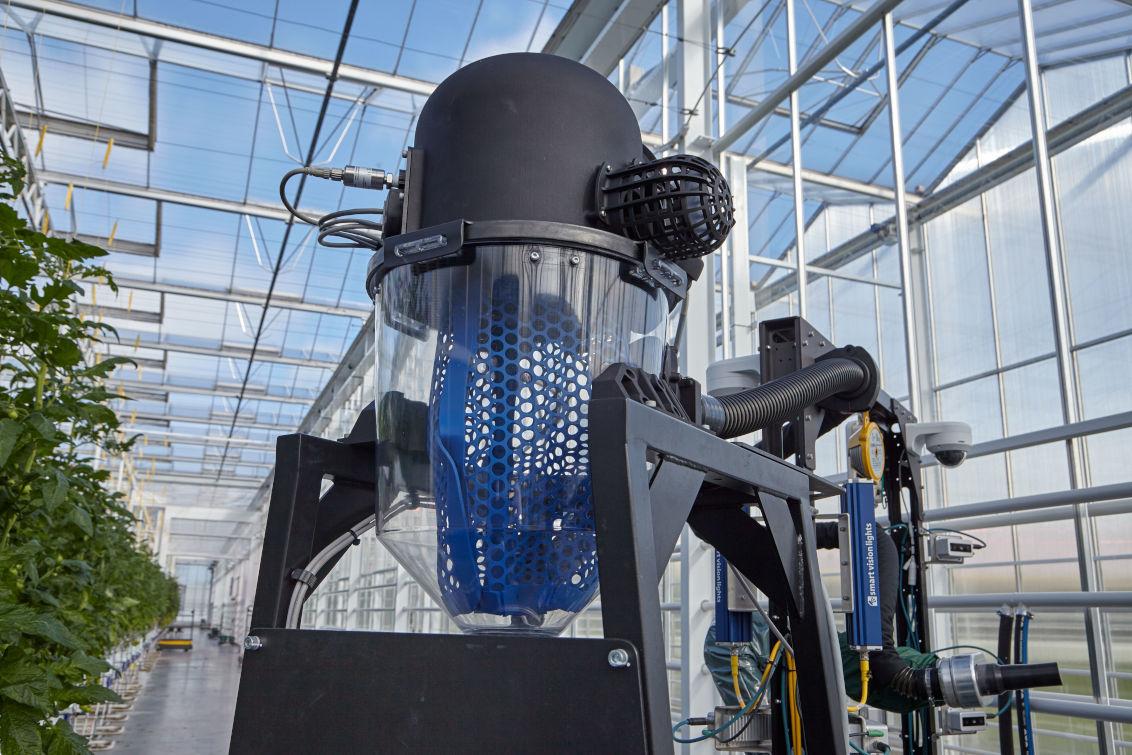 Zrobotyzowany zbiór pomidorów – to możliwe z Syngentą! - Robotyka w badaniach nad uprawami pomidorów
