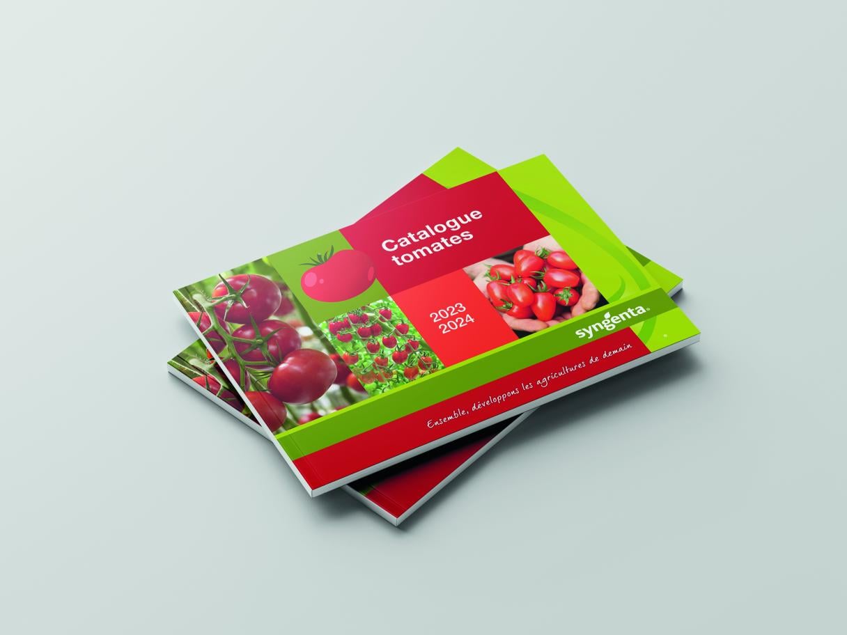 Mockup Tomates